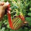 100Pcs Garden Cucumbers Growing Storage Mesh Net Vegetable Bags Hanging Watermelon Grow Net Bags Reusable Cantaloupes Mesh Net