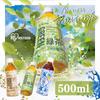 IRIS OHYAMA Houjicha 500 мл x 24 бутылки Houjicha из префектуры Сидзуока Чайные листья ПЭТ-бутылка Футляр Бутылка 500 мл Внутреннее производство Ocha