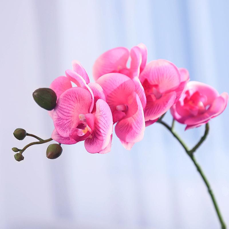 Moisturizing Phalaenopsis simulated flower home furnishing hotel wedding decoration fake flower bonsai simulated plant