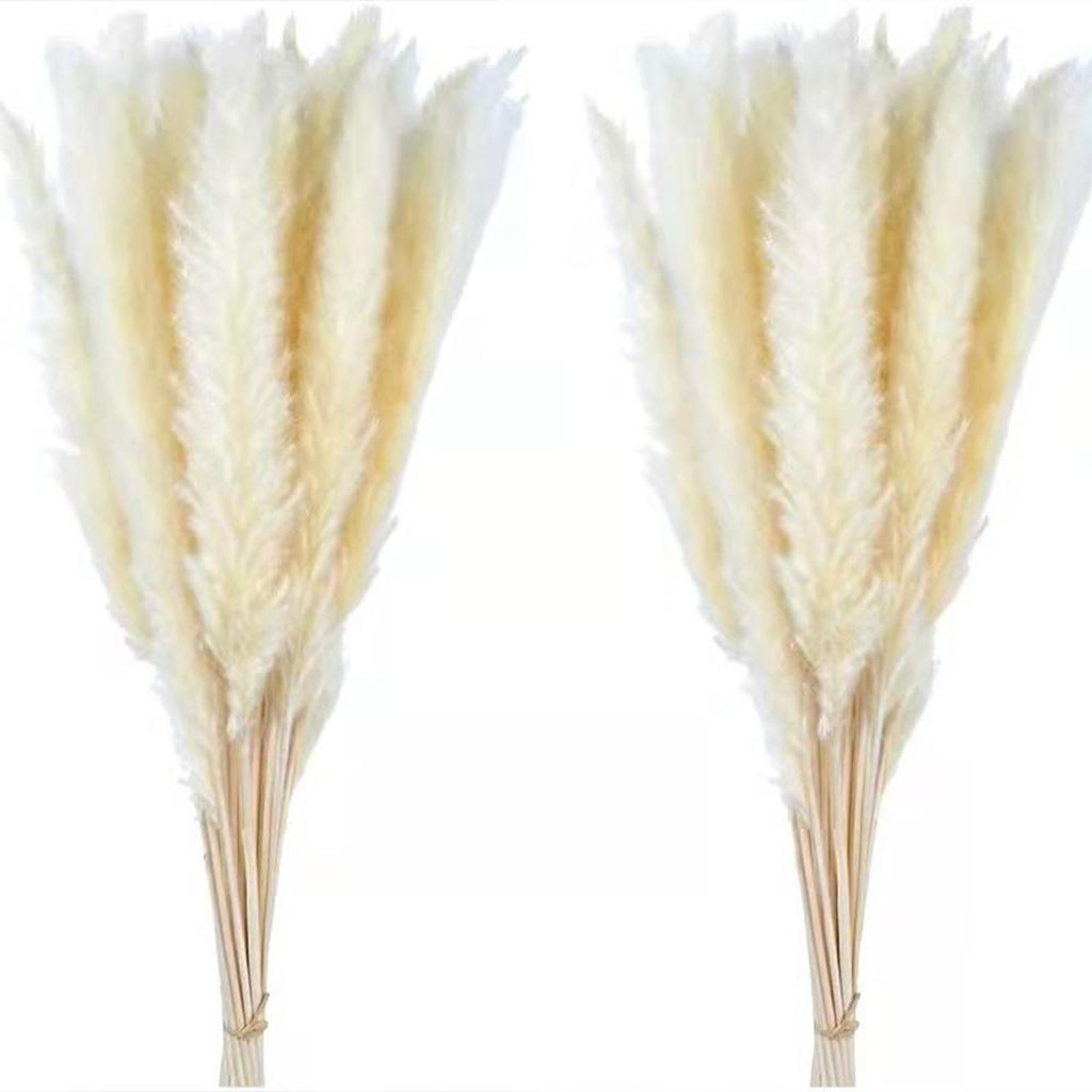 30PCS Small Reed Immortal Flower Bouquet Pampas Grass Dry Flowers Christmas DIY Decorations White