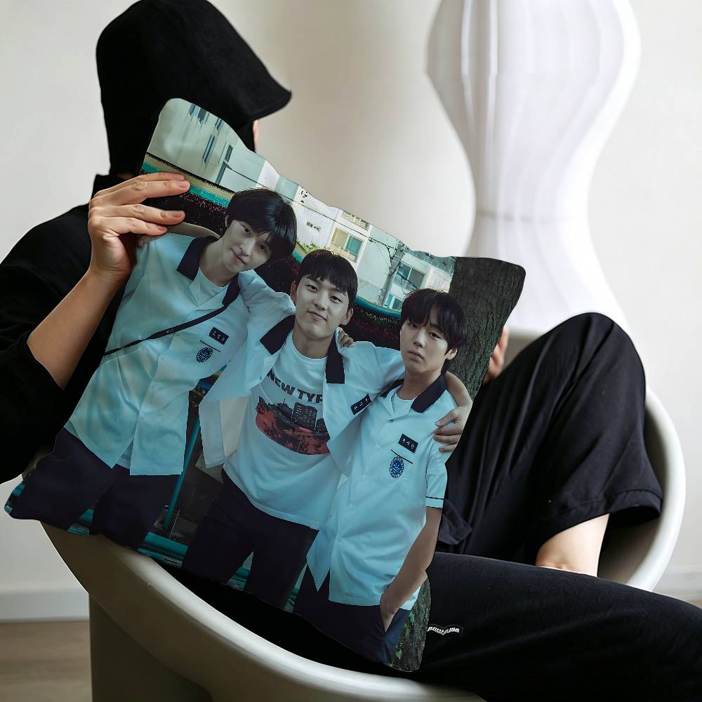 Movie WWeak Hero Class B Cushion Cover Polyester Sofa Cushions Decorative Throw Pillows Home Decoration Pillowcover