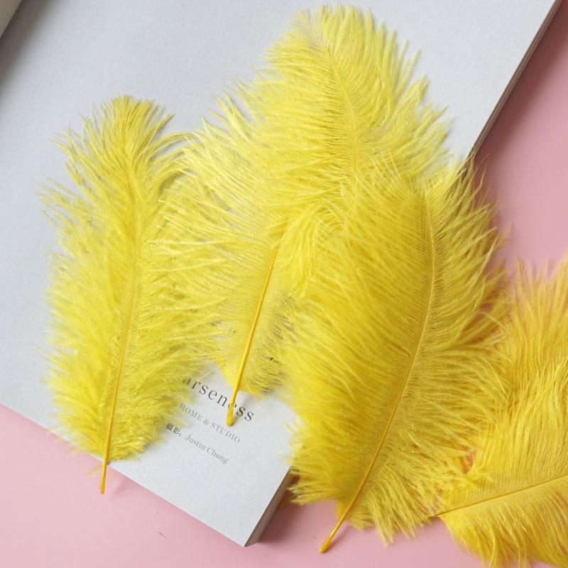 Colored Camel Bird Fur 15 -20cm Wedding Ornament Net Red Wall Decorative Feather Wall Hand Blooming Flowers Diy Dream Network Material