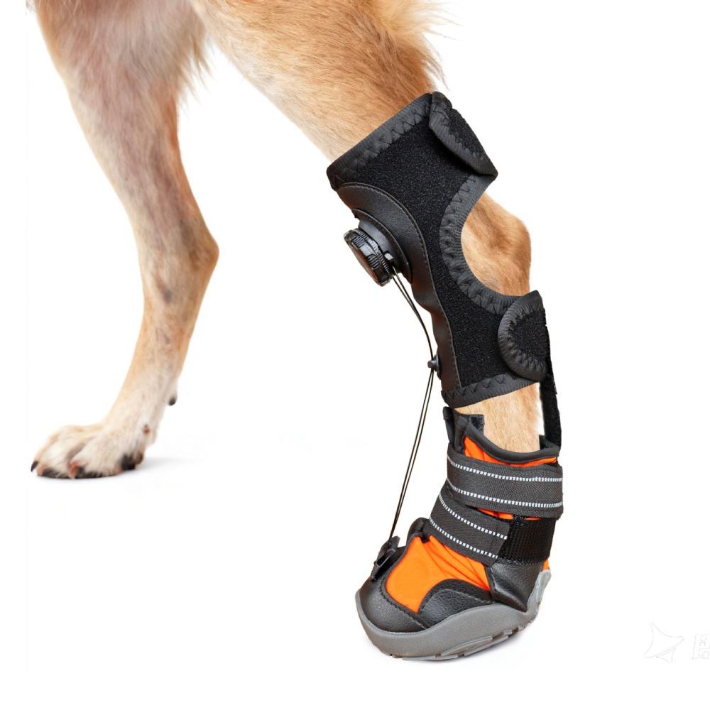 Wear-Resistant Paw Protectors Anti Drop Drops Foot Brace Corrective Dog Shoes Indoor Use