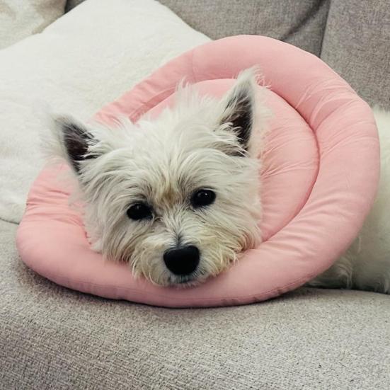 Собачий конус мягкий регулируемый воротник-пончик со шнурком альтернатива конусу для собак после операции для крупных средних маленьких собак и кошек