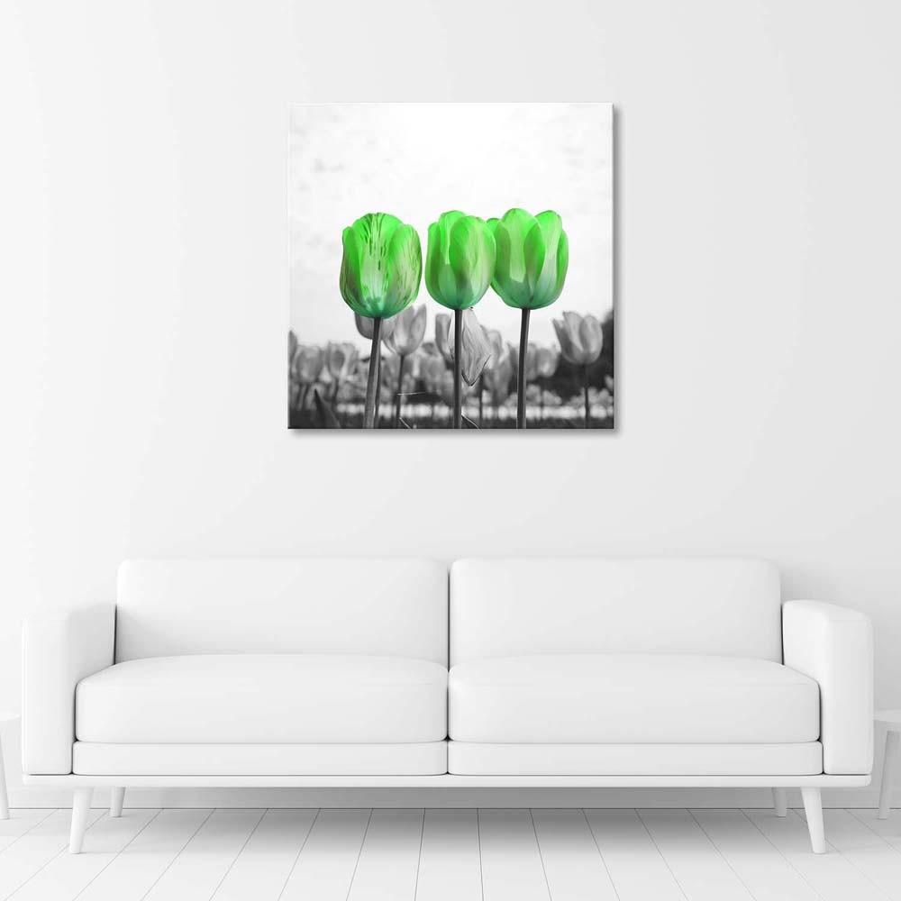Canvas print, Green tulips on a meadow