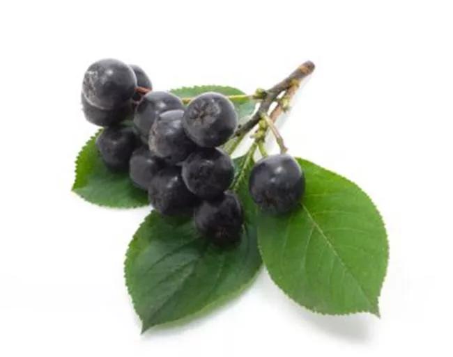 Owoce liofilizowane Elena LioFi Chips aronia 30g