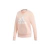 Logo Casual Sports Pullover American Hoodie Women Hoodies Misty-Coral GC6926