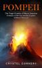 Книга Pompeii : The Tragic Eruption of Mount Vesuvius A History of the City and the Eruption of Mount Vesuvius