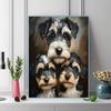 Schnauzer Pattern  3pcs 100% Round Full Drill 5D DIY Diamond Painting Embroidery Cross Stitch Rhinestone Décor