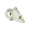 Dinosaur Skull Hiding House: Pet Cattle and Sheep Landscape Skeleton Fish Tank Decoration