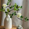 Бионическая бегония: Искусственное Роскошное Зеленое Растение Украшение Обеденного Стола