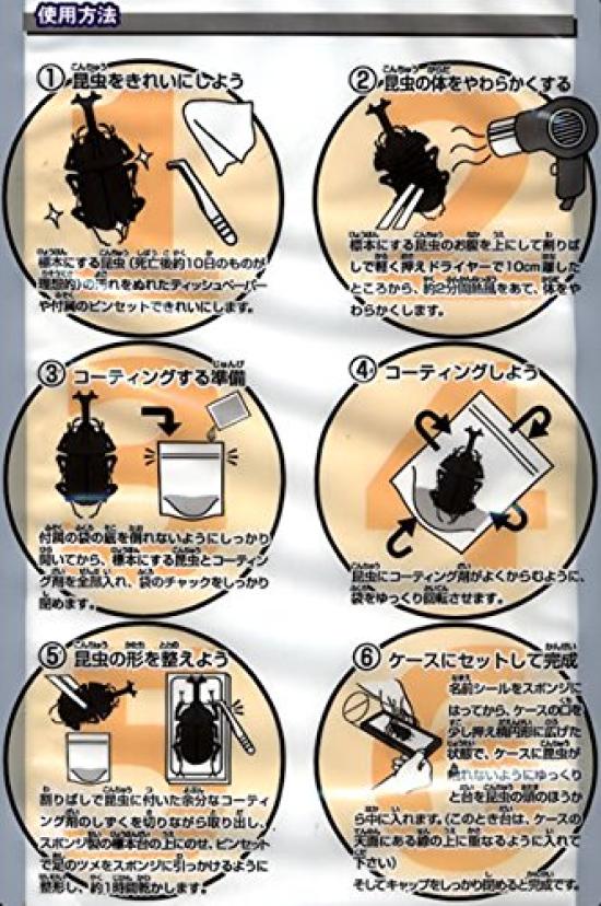 Fujicon Specimen LABO Летние каникулы Исследование Наблюдение за биологией Образец с покрытием Жуки-олени-носороги (Набор из 6 предметов) - Простой, Подходит для детей