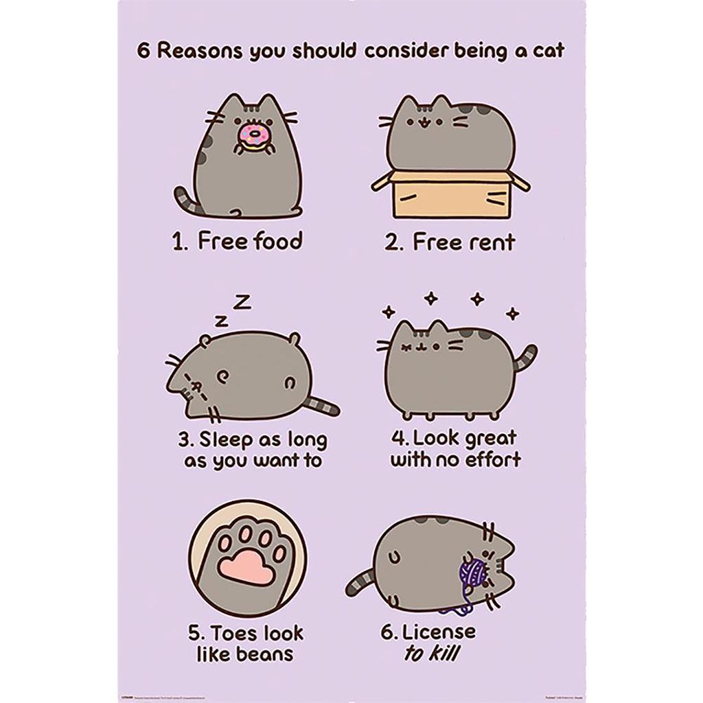Pusheen Reasons Poster