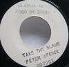 7-дюймовая пластинка PETER SPENCE - Take The Blame GD7002 Glamma Records UK Регги, Ска и Даб Б/У