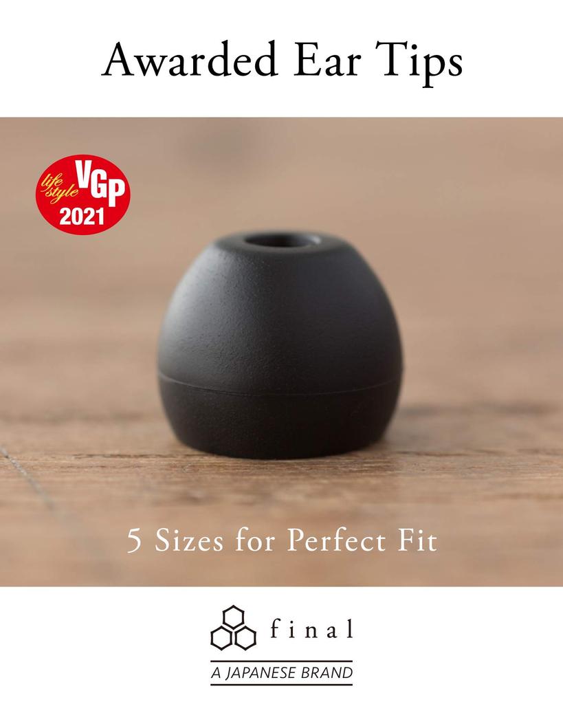 Final E3000 In-ear Earphones FI-E3DSS