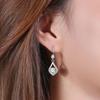 Elegant Korean-Style Zircon Teardrop Earrings for Women