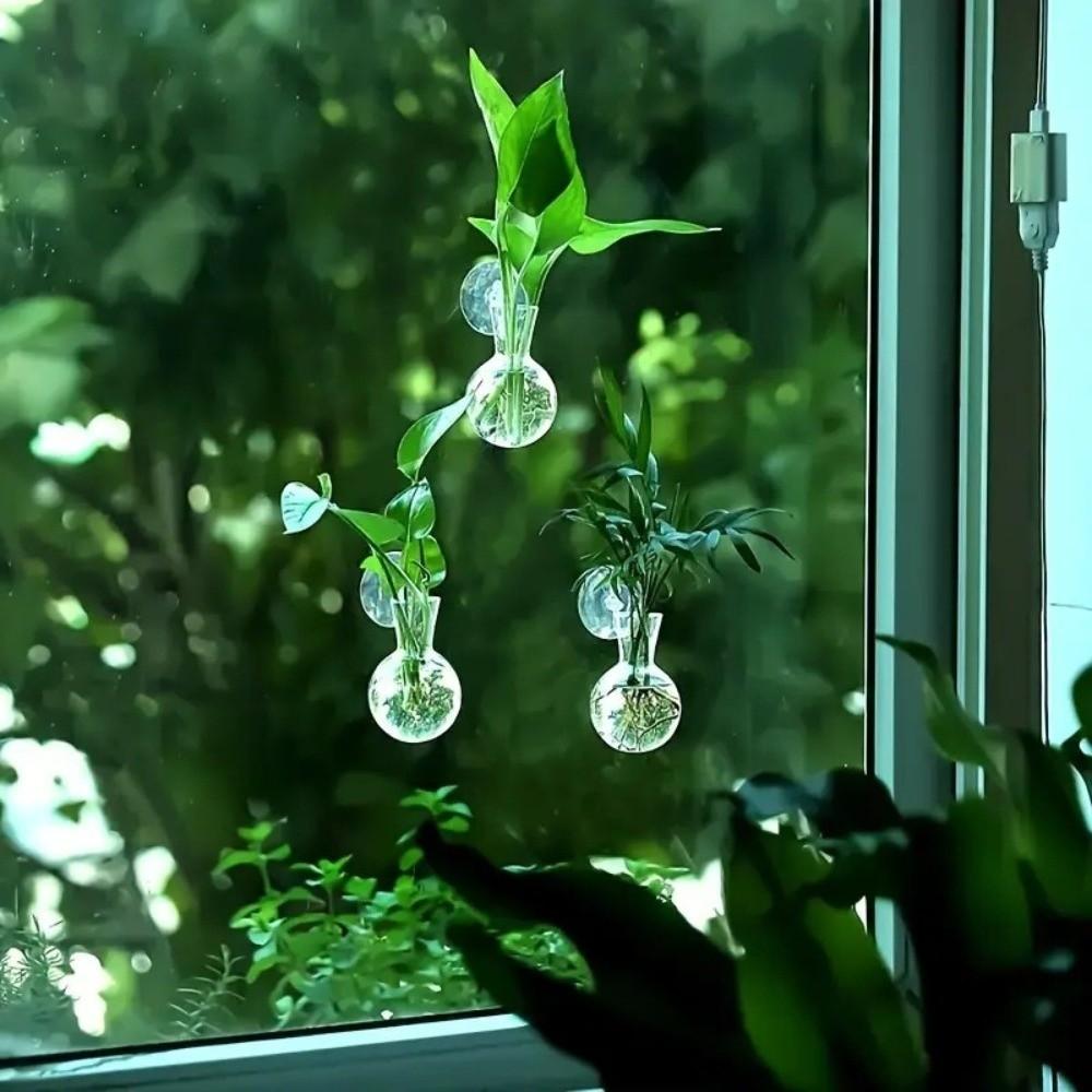 4pcs/set Self-Watering Plant Hydroponic Vase with Suction Cups Mini Flower Pot  Window