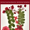 Autumn Dried Flower Bookmark Kit: Transparent Leaf Specimen with Lamination Film Stickers