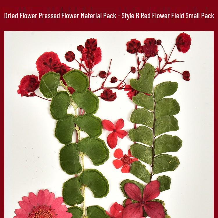 Autumn Dried Flower Bookmark Kit: Transparent Leaf Specimen with Lamination Film Stickers