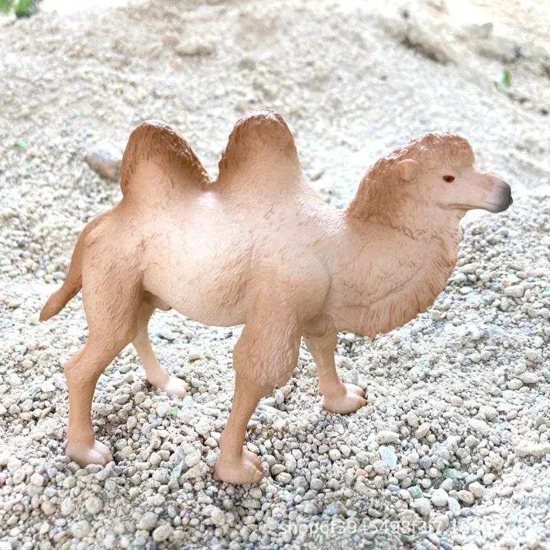 Реалистичная модель верблюда Solid Dromedary Bactrian Статическая игрушка Украшение Домашний декор