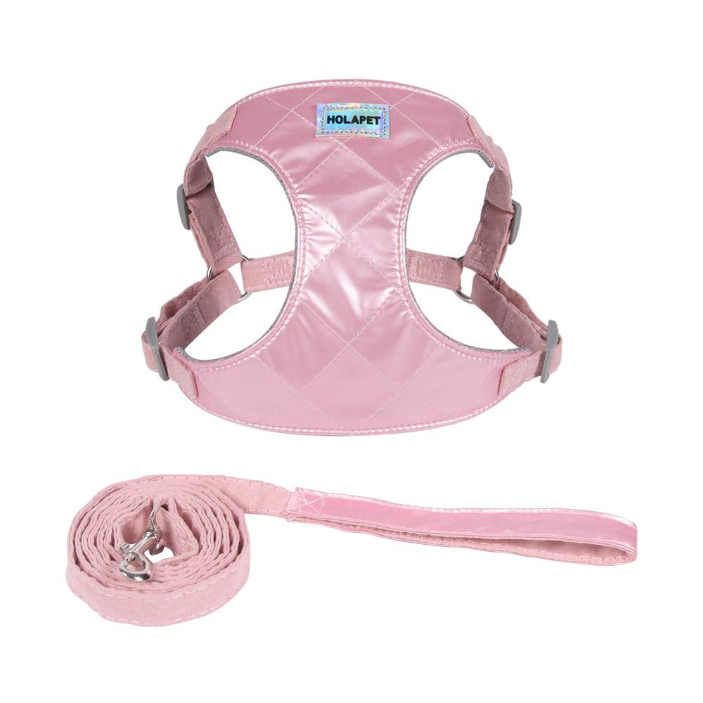 Dog Vest Harness With 1.4m Traction Rope Leash Set For Small Dogs Cat No Pull Outdoor Waterproof Puppy Yorkshire Pet Chest Strap Supplies