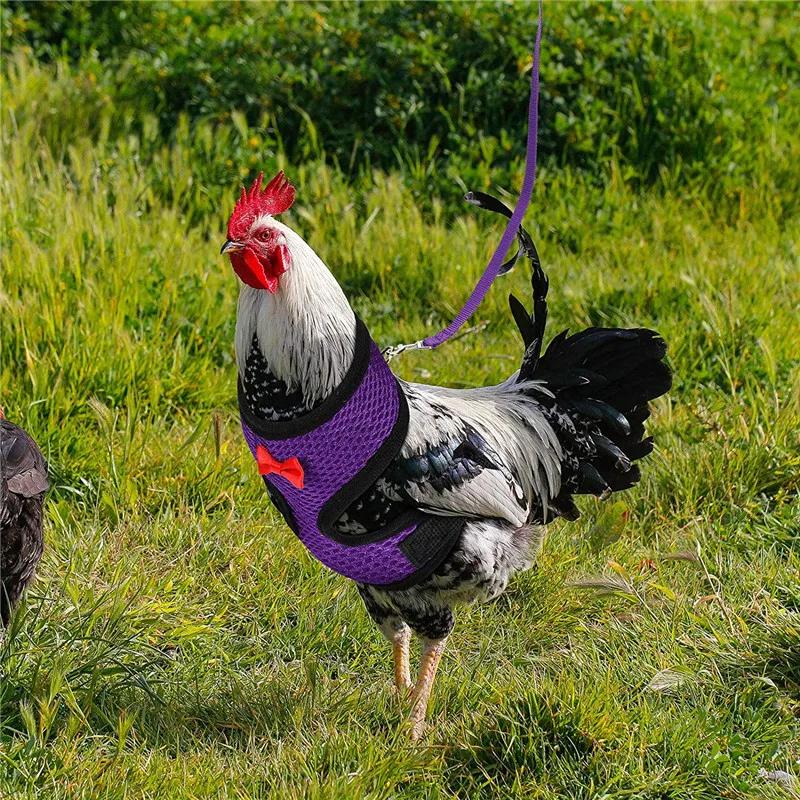 Fashion Chicken Duck Vest Harness, Pet Hen Belt with Matching Collar Bow, Breathable Comfortable Poultry Supplies
