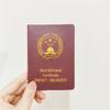 Подарочный набор "Роза в золотой фольге" ко Дню матери, Дню святого Валентина, Циси - Идеально для мамы или девушки