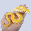 Animals Models Realistic Snake Simulation Python Python Action Figure Snake Toy Python Model Toy
