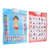 2 шт. плакаты по фонетике на китайском и английском языках, многоцелевое развлечение для раннего образования, самопознание и рисунок на английском языке