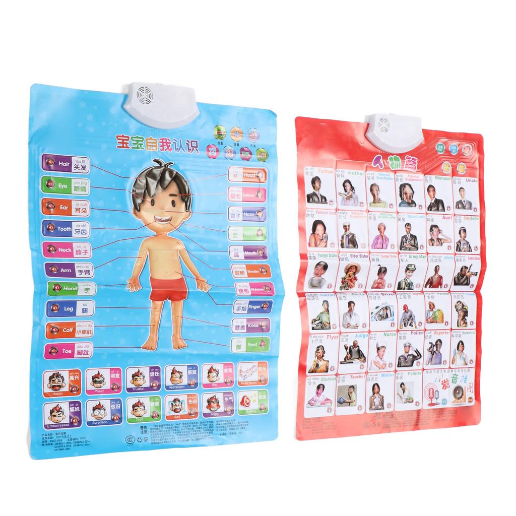 2 шт. плакаты по фонетике на китайском и английском языках, многоцелевое развлечение для раннего образования, самопознание и рисунок на английском языке