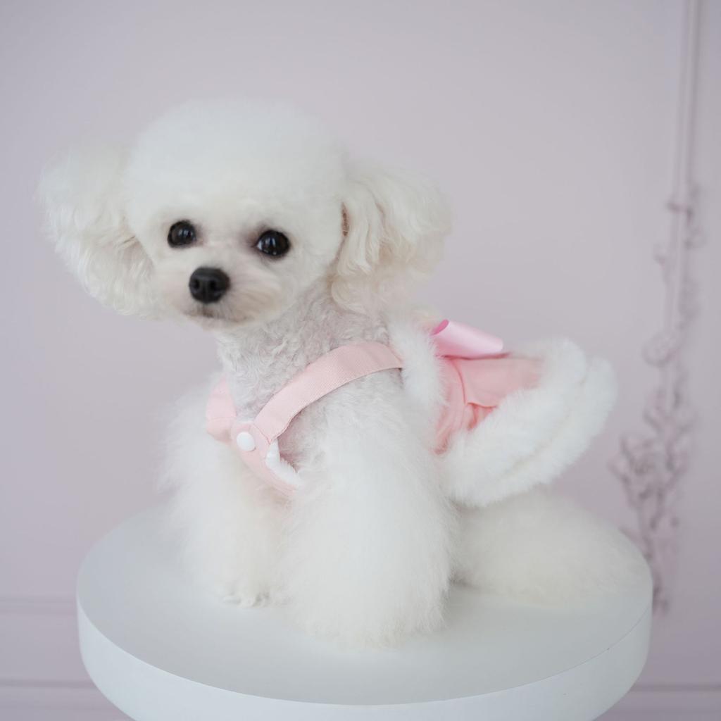 Осенне-зимнее плюшевое кружевное платье на бретельках для домашних животных, милое пальто с медведем, шерстяная юбка с медведем на бретельках, одежда для маленьких собак в виде плюшевого мишки