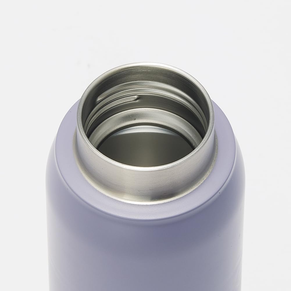 Skater Бутылка вакуумная из нержавеющей стали для газированных напитков, 500 мл, для питья непосредственно, только для холодных напитков, Disney Микки и друзья, сероватая, детская