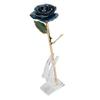 Preserved Rose 24K Gold Plated Bright Luster Rich Details Exquisite Gold Dipped Rose for Birthday