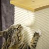 Cat tree including toys, 38 cm x 38 cm x 80 cm, beige + natural