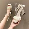 Fashion Shoes for Women Pearl Sandals Suit Female Beige Increasing Height Block Heels All-Match Black Bow Fashion Chunky Sandals