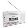 Panda6503 Мини USB-регистратор TF-карт и портативное радио
