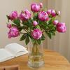 European-Style Simulated Peony Flower 2 Head Fake Peony Bouquet Flower Art Arrangement