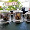 Glass Glass Candle Cover 8 Colors Cloche Dustproof Jar Bedroom Decoration