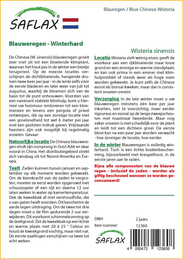 SAFLAX Глициния китайская голубая - 4 семени - Wisteria sinensis