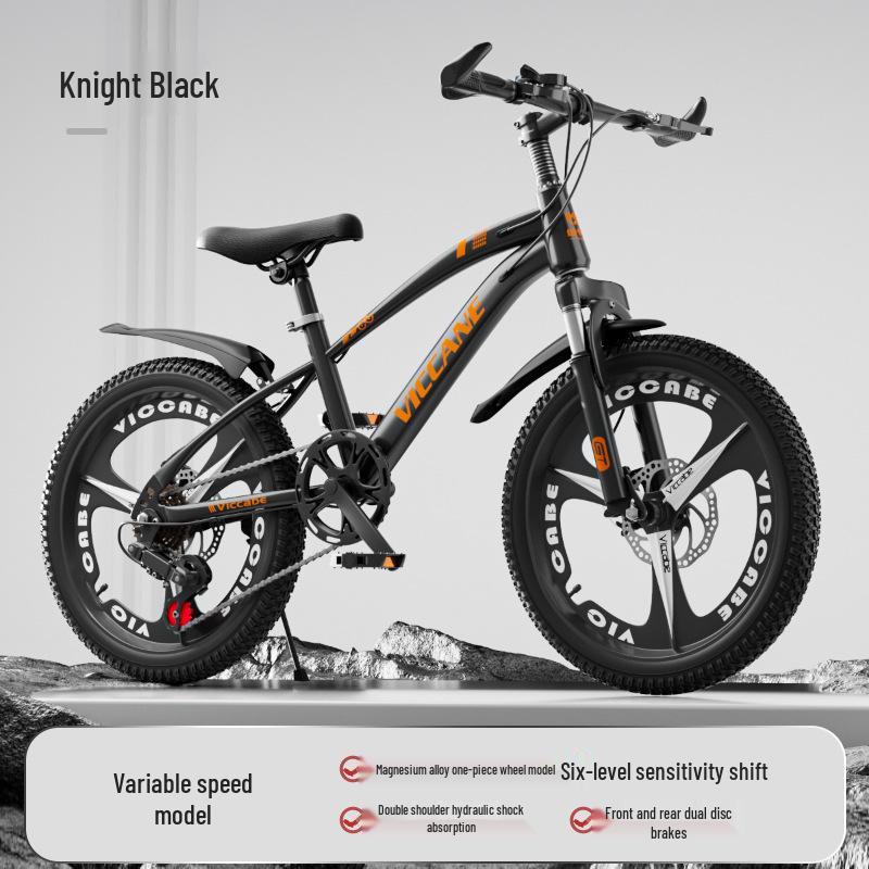 20 Inch Variable Speed Mountain Bike for Children Ages 7-11