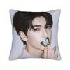 Zhang Actor Linghe Pillow Cover Morden Pillow Case For Sofa Couch Bed Living Room Graphic Pillowcases Gift Idea