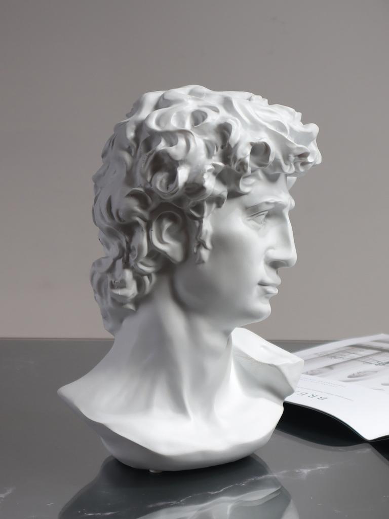 White David Head Sculpture Resin Figurine Sculpture Artwork Home Decorative Item for Bedroom, Living Room, and Study Desk