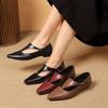 French Pointed Single Shoes Women's 2025 Spring New Low-heeled Low-heeled Small Leather Shoes Fashion Temperament Mary Jane Shoes Women's Shoes