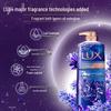 LUX Dreamy Lavender Scent Body Wash