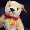 [USED] Excellent condition vintage Steiff teddy bear, German mohair