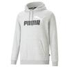 Puma Ess+ 2 Col Big Logo худи