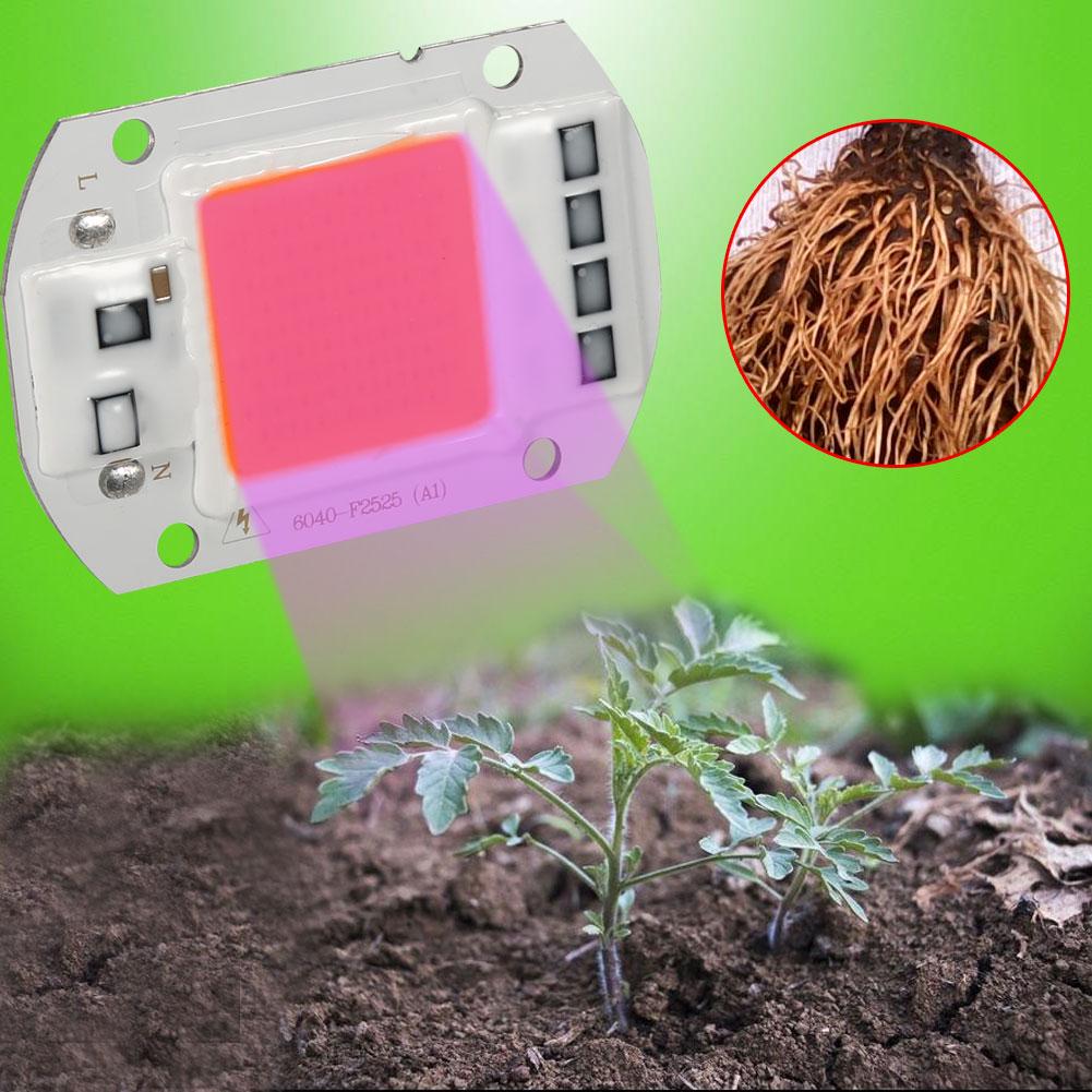 1 шт. 50 Вт полный спектр теплый/белый светодиод COB чип Grow Light лампа для роста растений сад гидропонное растение