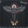 LP Record JUDAS PRIEST - Angel Of Retribution 88985390931 Columbia, Legac 2017 Europe Rock