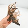 1 Set Owl Pendant Effective Bird Repellent Double-sided Printed Owl Ornament for Garden Patio Windows