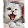 Женская толстовка из полиэстера с принтом Cat Street, повседневная модная повседневная одежда с круглым вырезом и длинным рукавом, микроэластичная, осень-зима